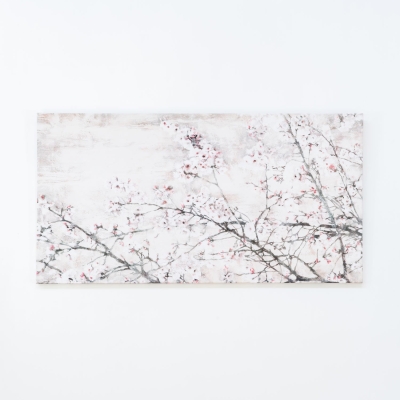 CANVAS ASIA
